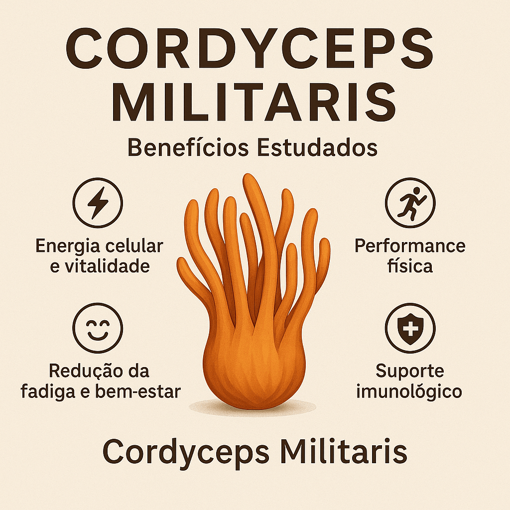 Cordyceps militaris: benefícios estudados e como escolher um extrato de&nbsp;qualidade